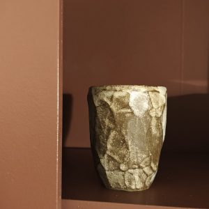 Tasse lichen